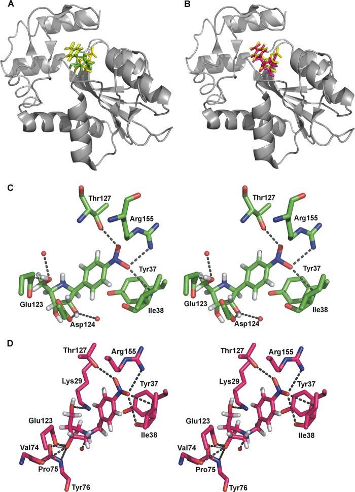 FIGURE 5.