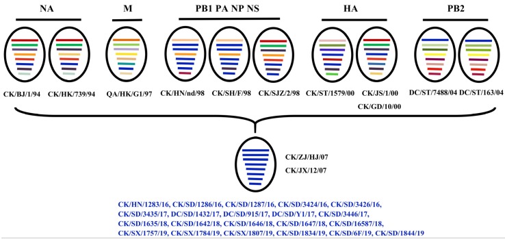 Figure 5