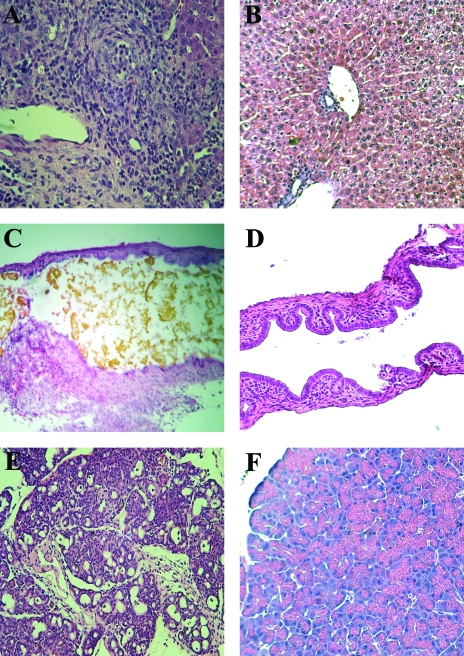 FIG. 6.