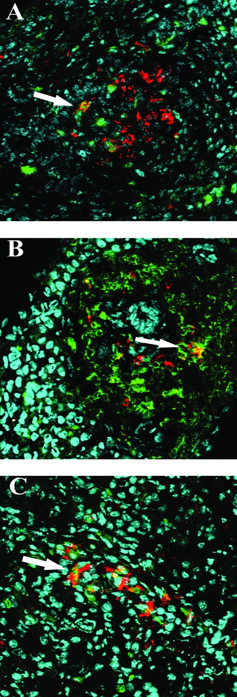 FIG. 8.