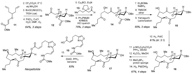 Scheme 2