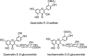 FIG. 15.