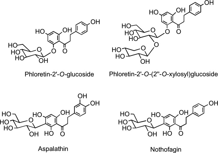 FIG. 10.