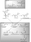 FIG. 28.