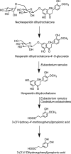 FIG. 30.