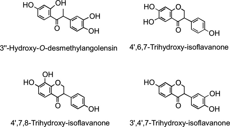 FIG. 23.