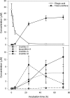 FIG. 33.