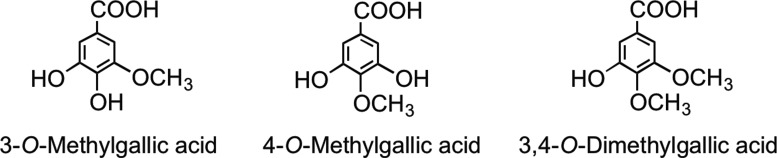 FIG. 27.