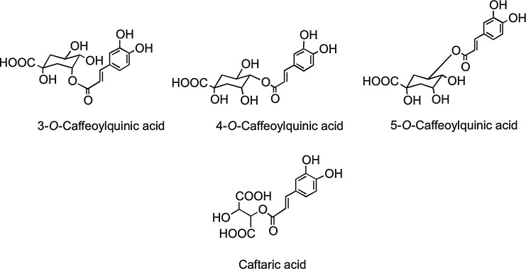 FIG. 12.