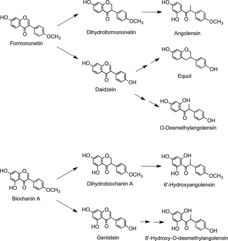 FIG. 24.