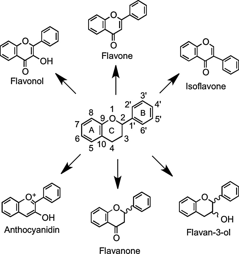 FIG. 1.