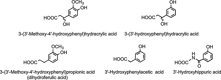 FIG. 18.