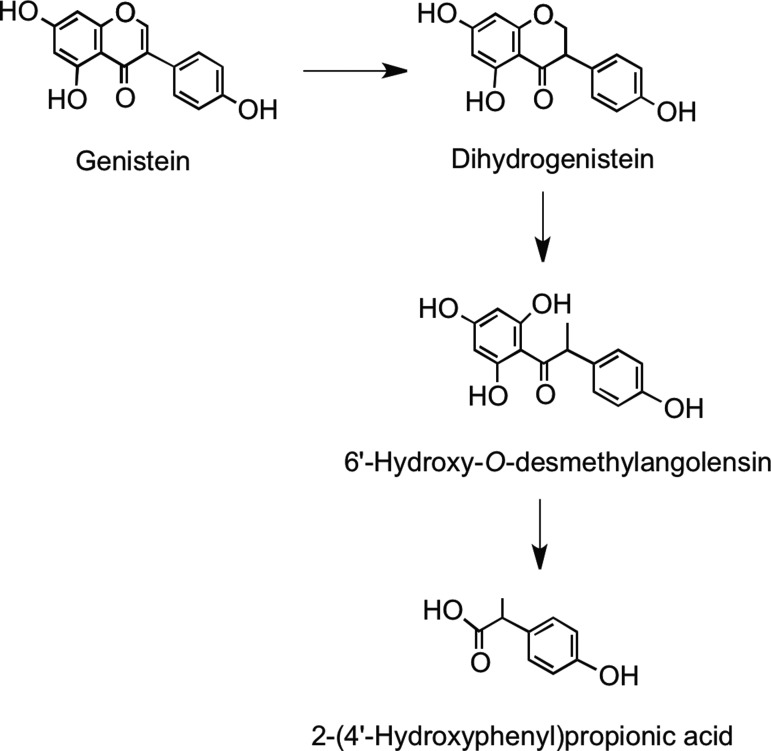 FIG. 22.