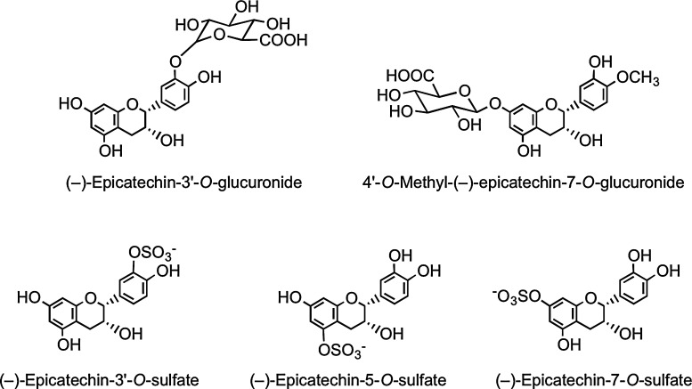 FIG. 26.