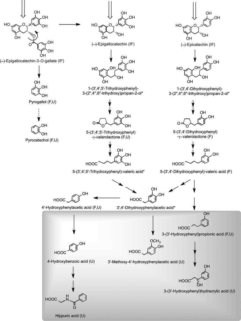 FIG. 25.