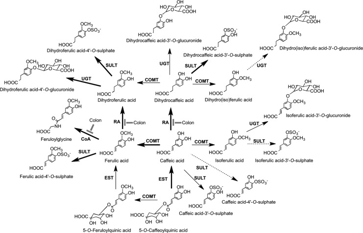 FIG. 34.