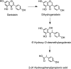 FIG. 22.