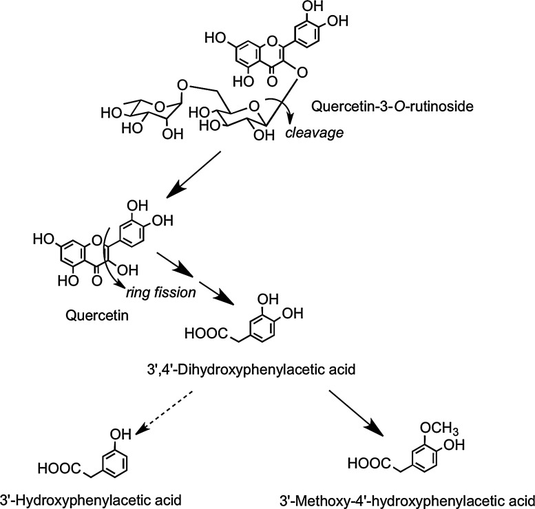 FIG. 16.