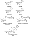 FIG. 2.