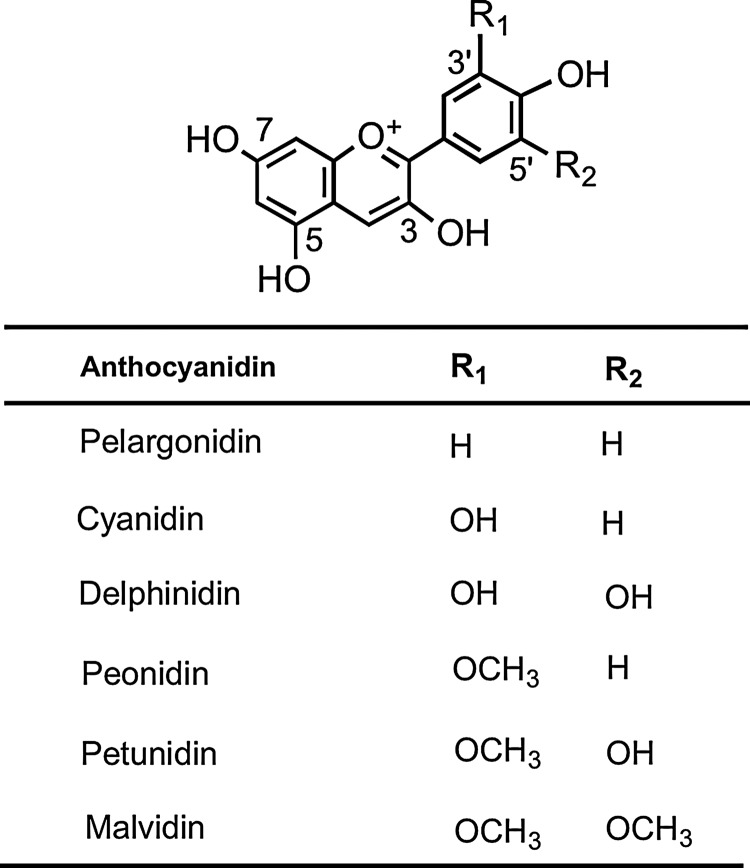 FIG. 7.