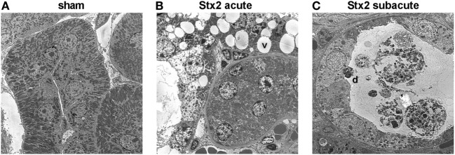 Figure 9