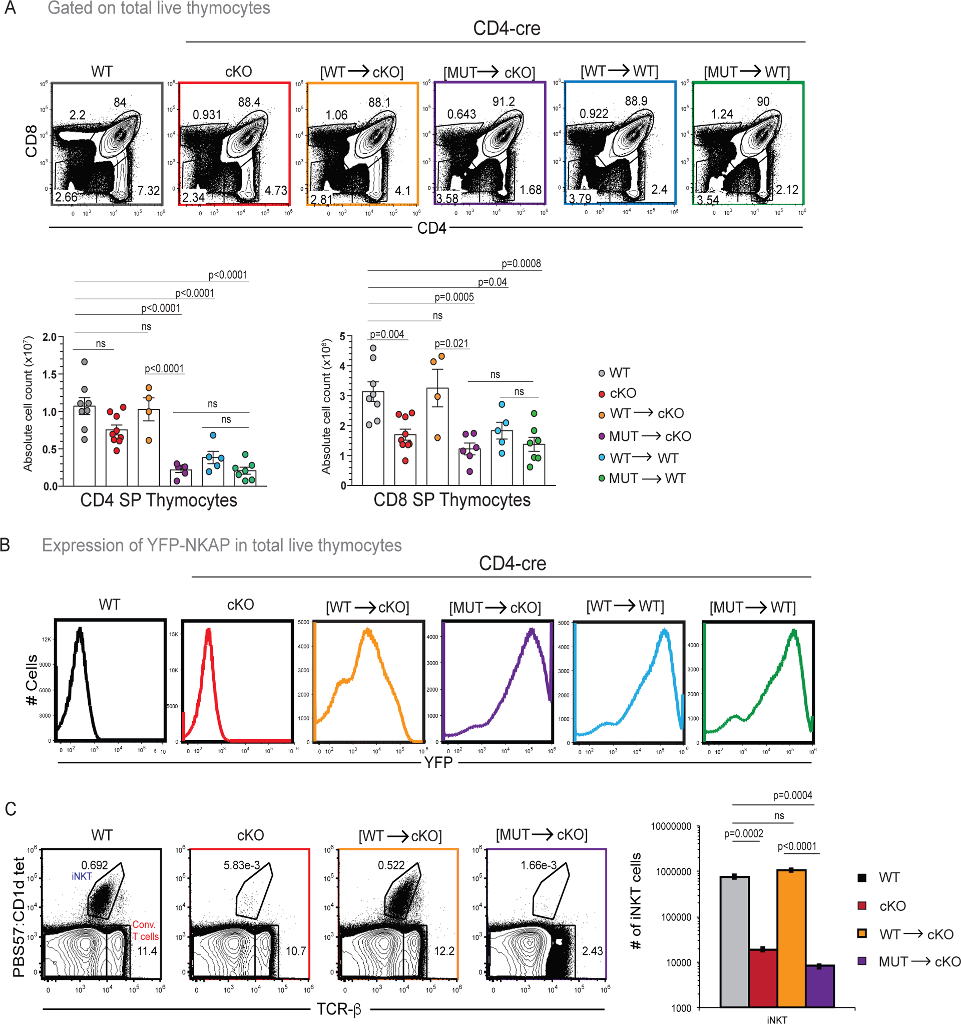 Figure 2: