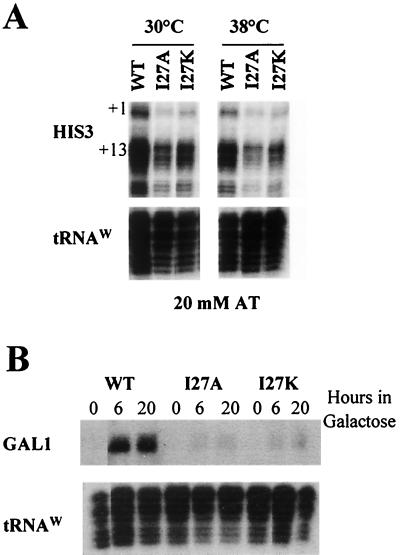 FIG. 8