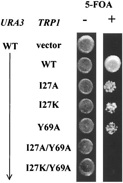 FIG. 9