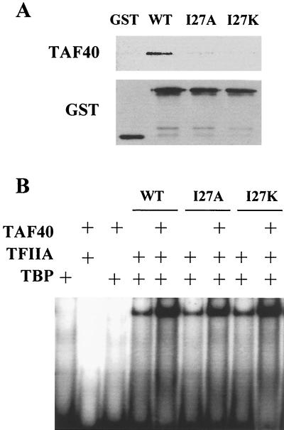 FIG. 6