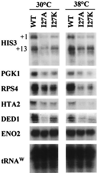 FIG. 7