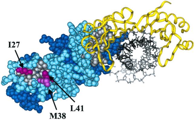 FIG. 3