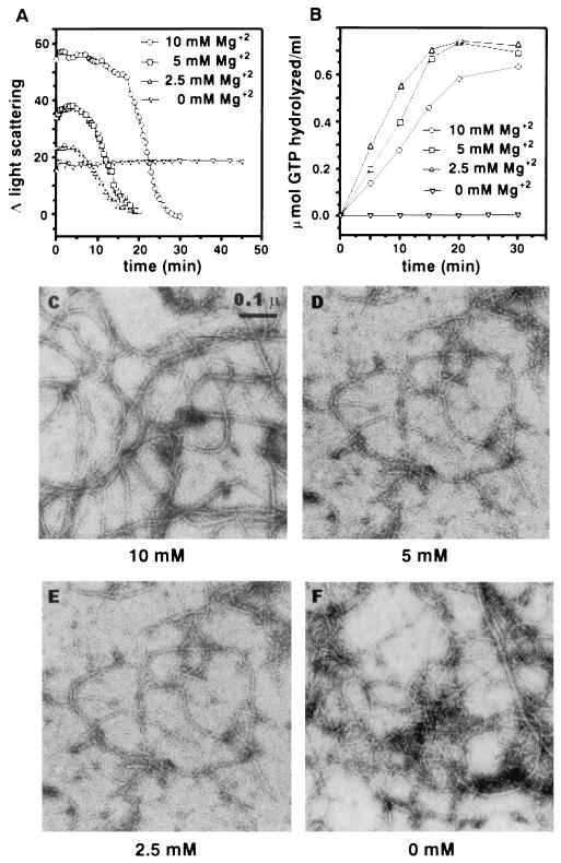 FIG. 5