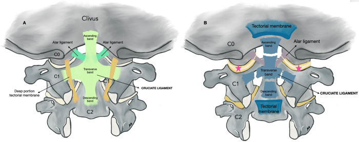 FIG. 5.