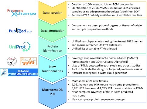 Graphical Abstract