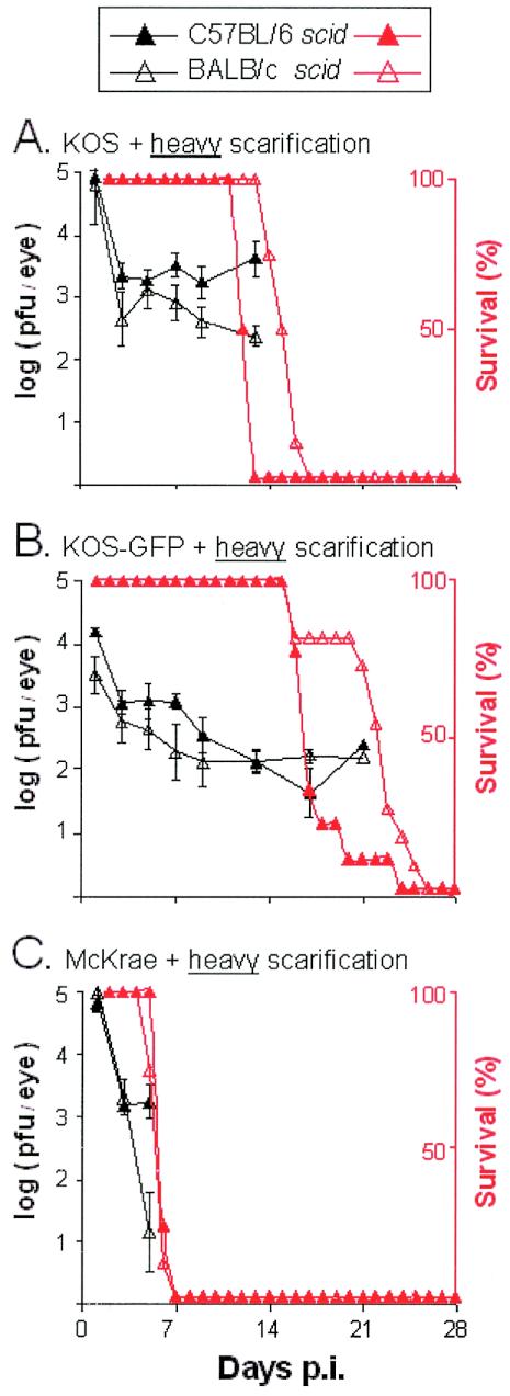 FIG. 4.