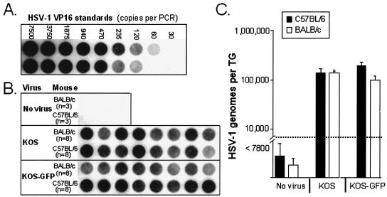 FIG. 6.