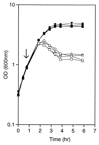 FIG. 5