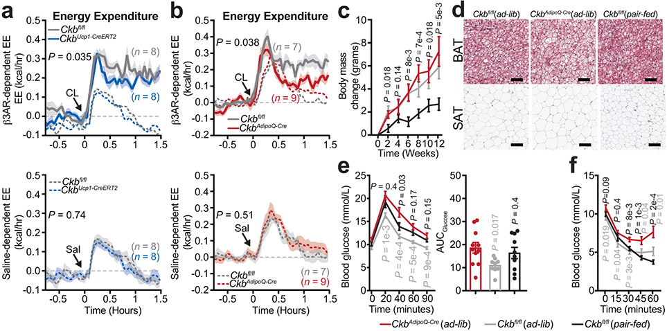 Fig. 4: