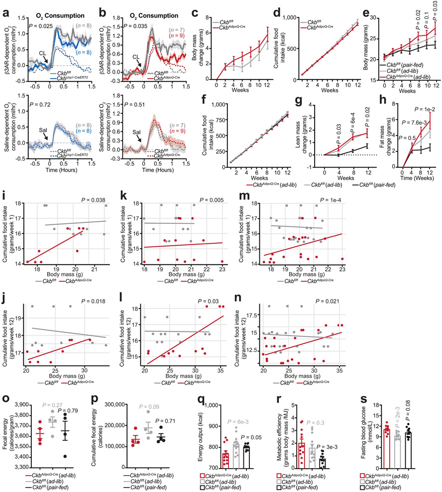 Extended Data Fig. 7: