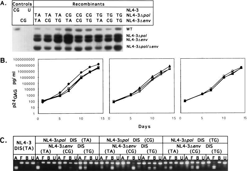 FIG. 4