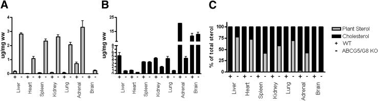 Figure 3