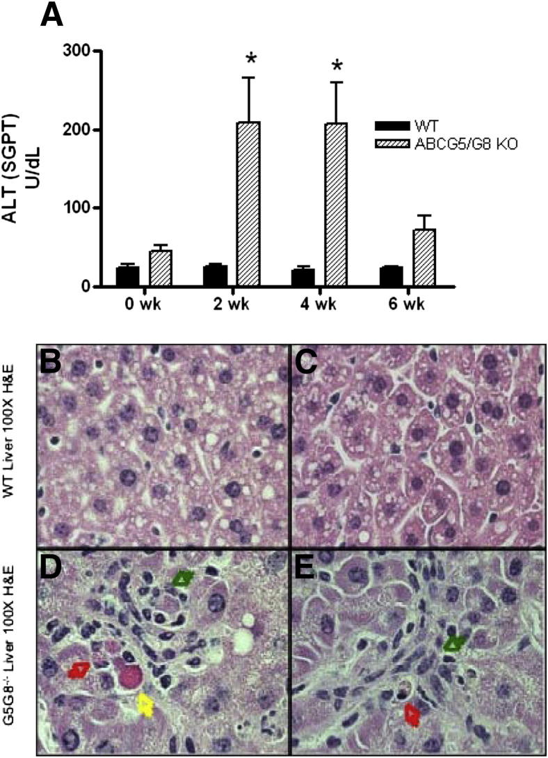 Figure 2