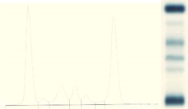 Fig. 9