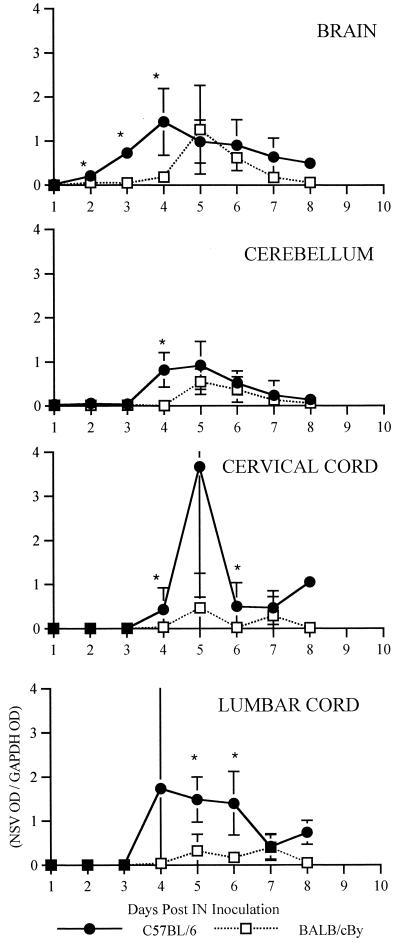 FIG. 7