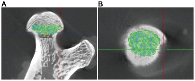 Figure 3.