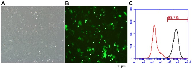 Figure 2.