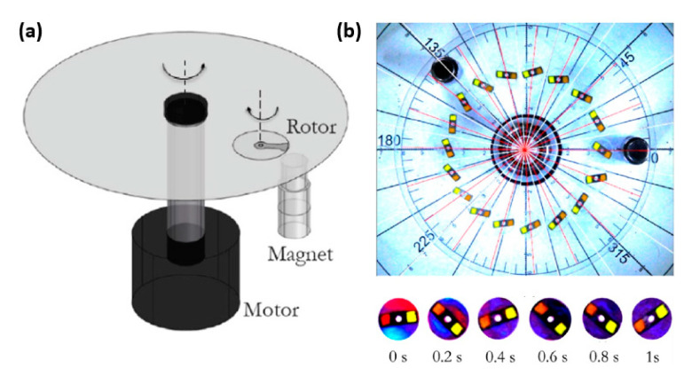 Figure 12