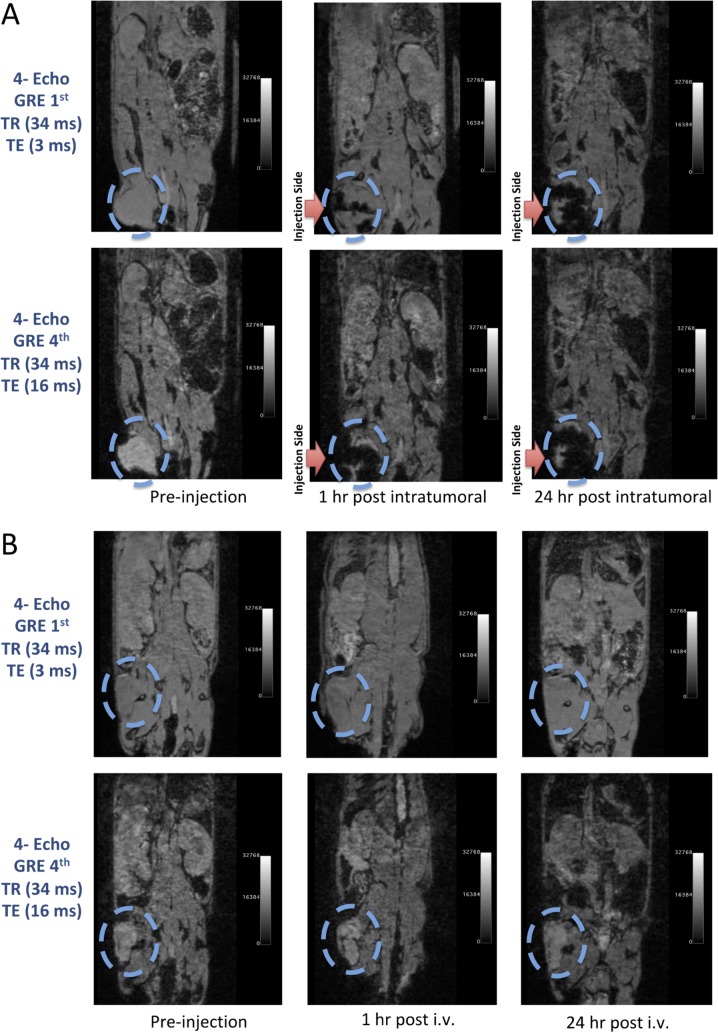 Fig 3