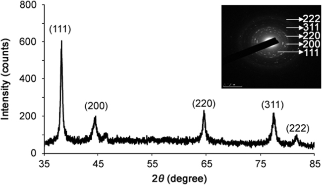 Fig. 4