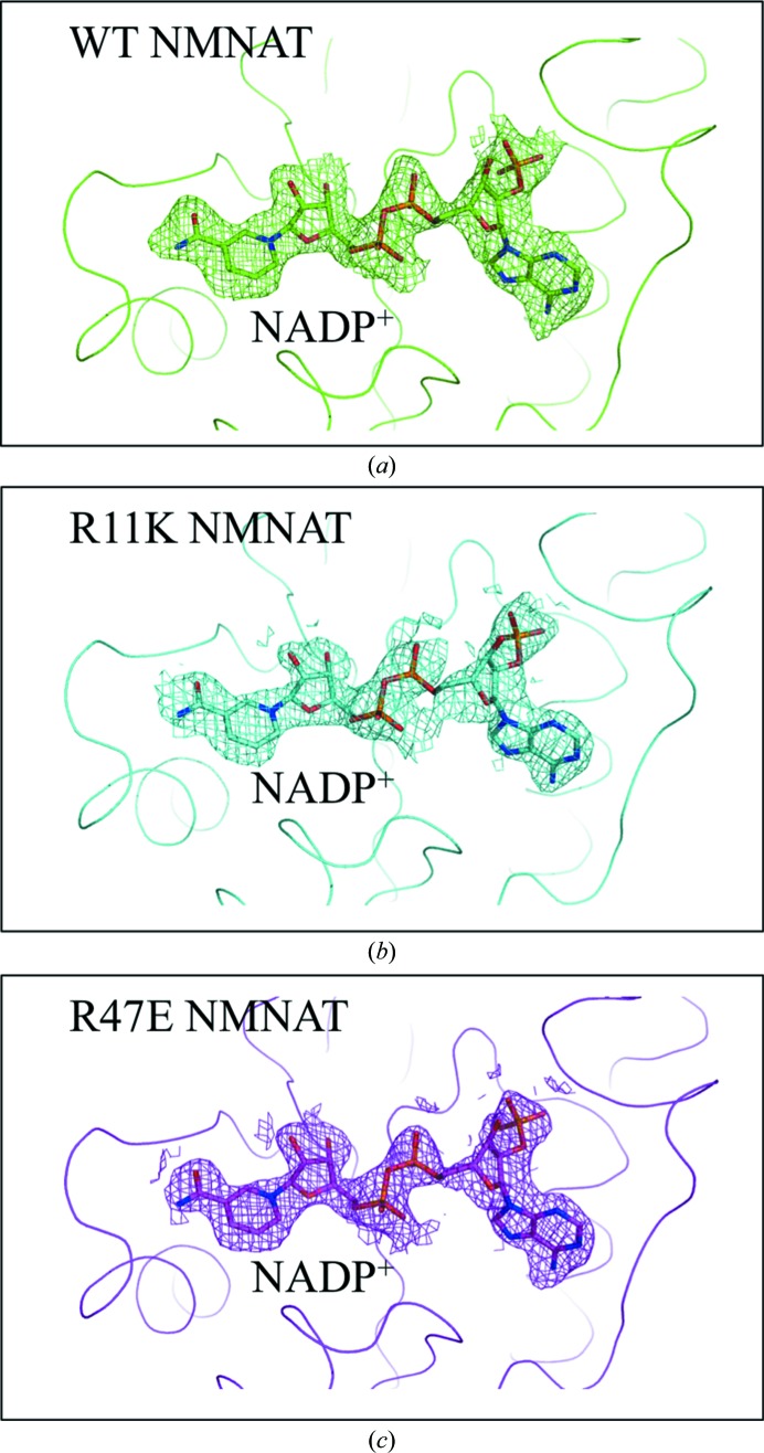 Figure 2